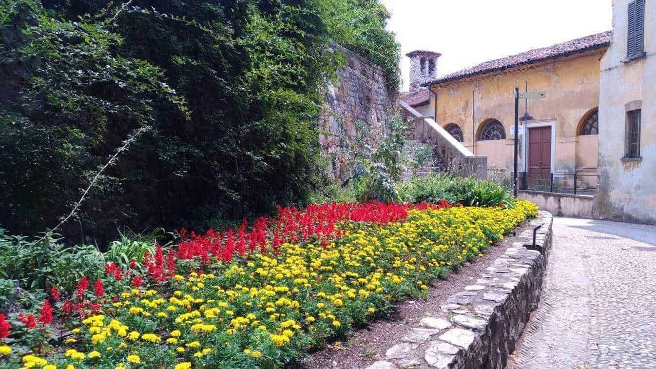Colorato giardino di fiori con piante di margherite e petunie rosse, vicino a una strada di ciottoli e a un edificio storico in Toscana.