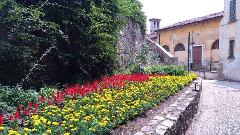 10 Piante da giardino resistenti al sole in estate 10 Colorato giardino di fiori con piante di margherite e petunie rosse, vicino a una strada di ciottoli e a un edificio storico in Toscana.