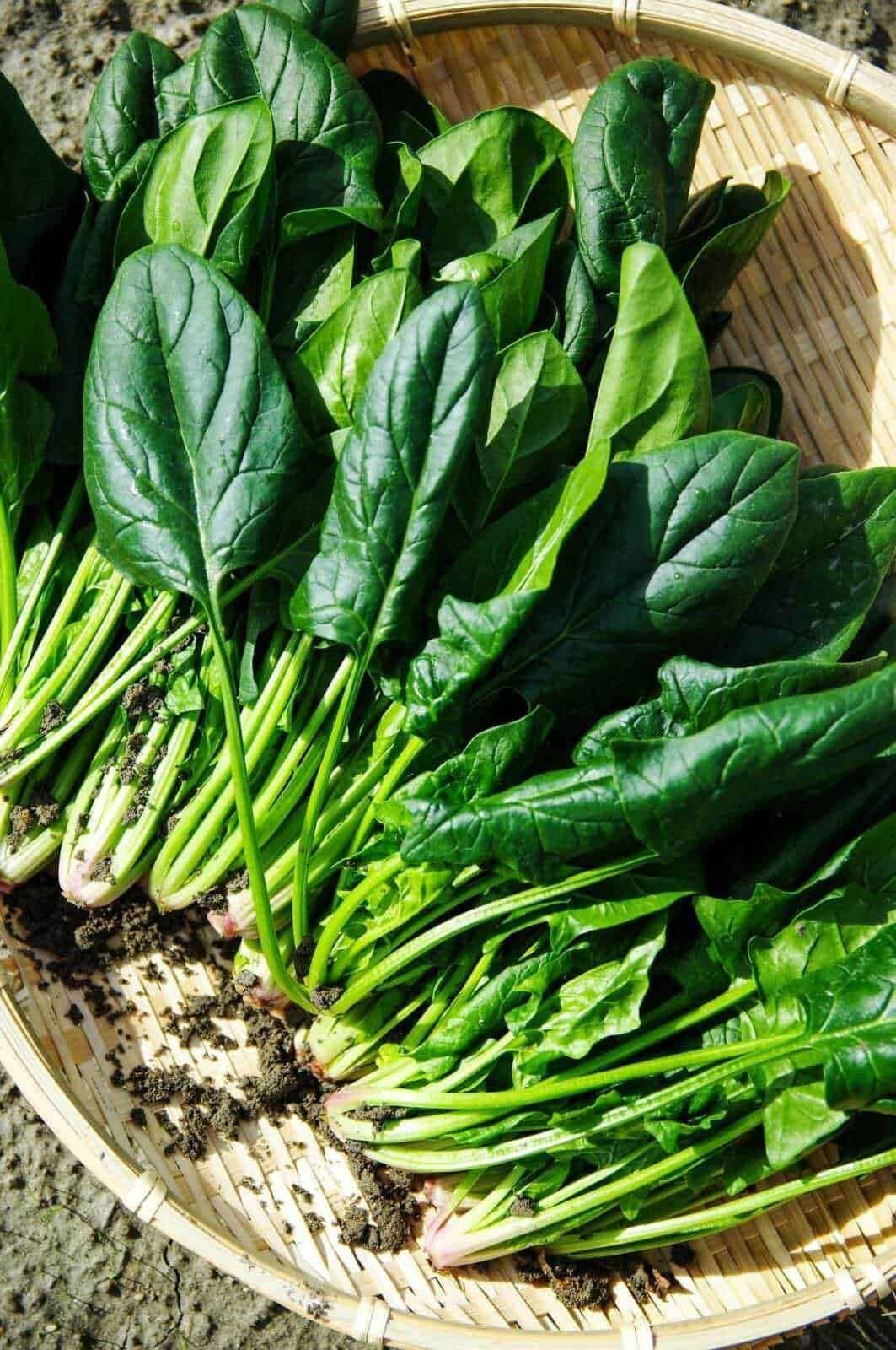 Verdure e alimentazione in caso di diabete
