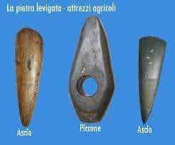 Ascia da potatura in acciaio, perfetta per lavori agricoli, con manico ergonomico e lama affilata; strumenti robusti ideali per potatura e cura degli alberi.