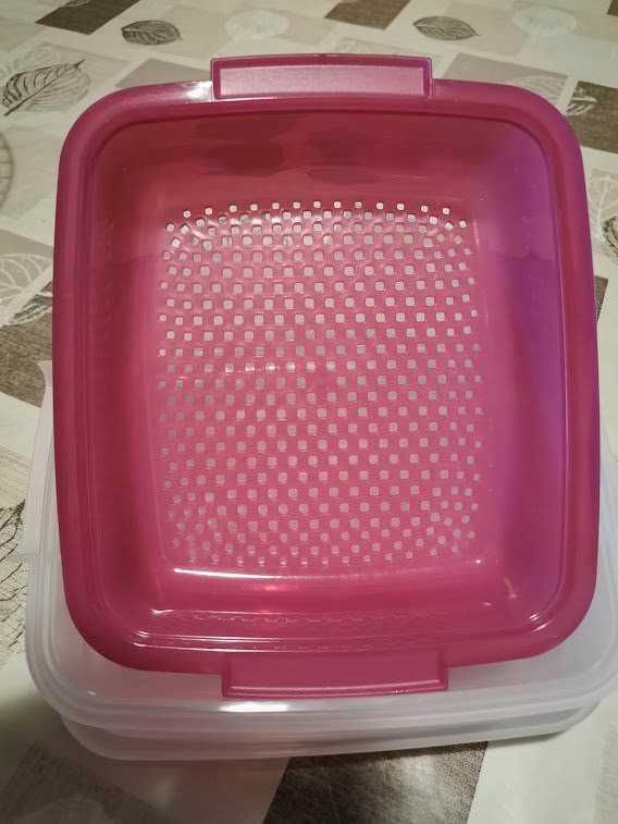 Contenitore plastica con rete di ventilazione rosa e trasparente, ideale per conservazione alimenti e organizzazione in cucina.