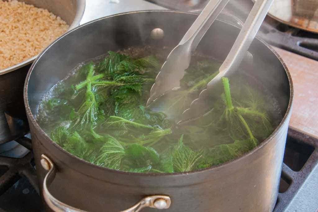 Blanching, congelare verdure fresche