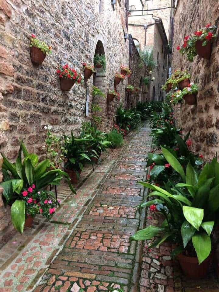 Rustic alleyway with brick pavement and vibrant potted flowers on stone walls, charming narrow street, Tuscany, Italy, historic architecture, blooming plants, romantic alley, outdoor floral decor.