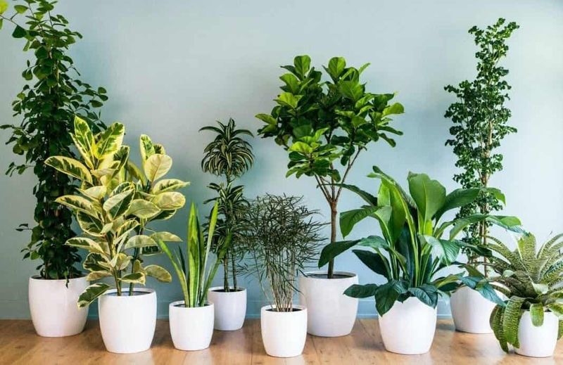 Alberi artificiali da interno: guida alla scelta 2 Alberi artificiali da interno: guida alla scelta (2026)