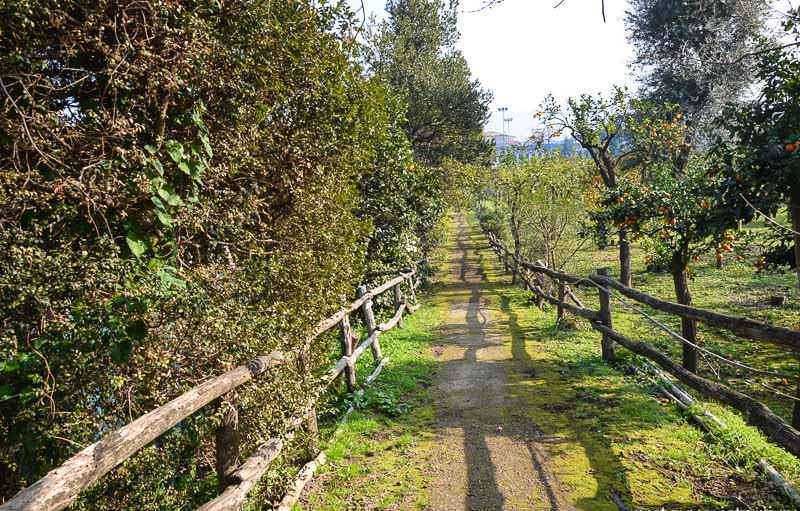 Giardini con rare specie di fiori e piante