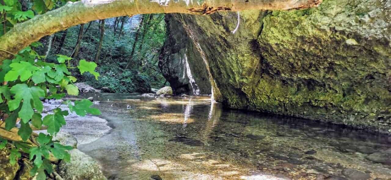 Fiumi di montagna con acqua cristallina e rocce verdi, natura selvaggia e paesaggi naturali, emozioni di tranquillità e pace, turismo sostenibile, esplorare la natura incontaminata.