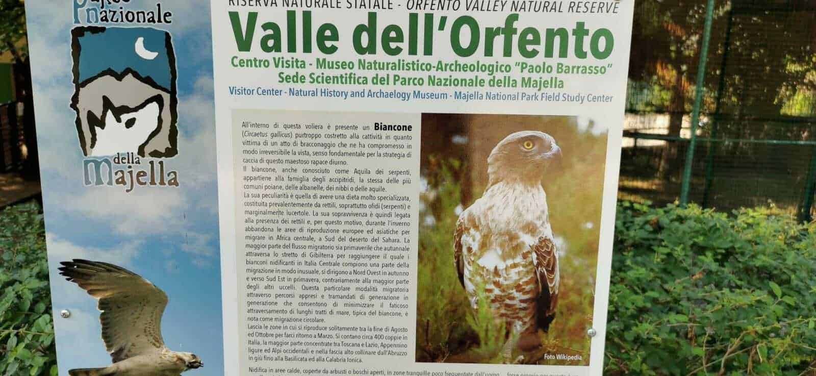 Valle dell'Orfento Caramanico escursioni ad anello