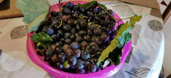 10 Frutta e verdura autunnale: benefici per la salute 2 Frutta e verdura d'autunno: 10 Frutta e verdura autunnale: benefici per la salute