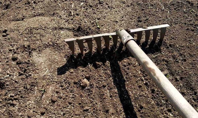 Come eliminare i parassiti dalle piante in modo naturale 2 Eliminare i parassiti dalle piante con metodi naturali: Attrezzo per aratura in un campo di terra, utilizzato per preparare il terreno per la semina o la coltivazione. Strumento essenziale per l'agricoltura, favorisce la lavorazione del suolo e la crescita delle piante.