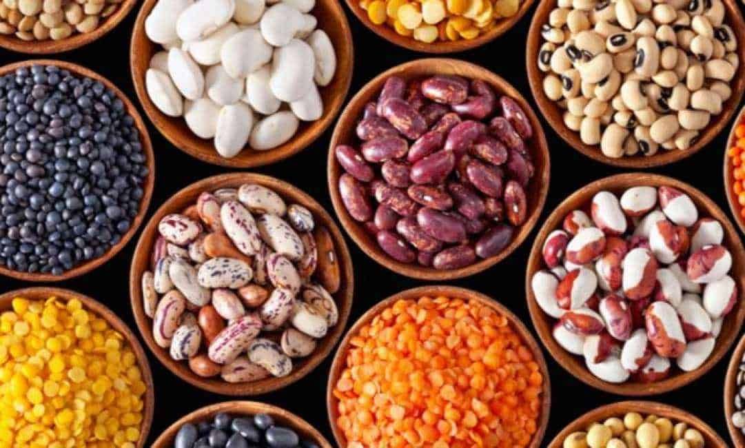 Semi di legumi vari in ciotole di terracotta, ricchi di proteine, fibre e nutrienti essenziali. Perfetti per una dieta sana e equilibrata, ideali per insalate, zuppe e piatti vegani.