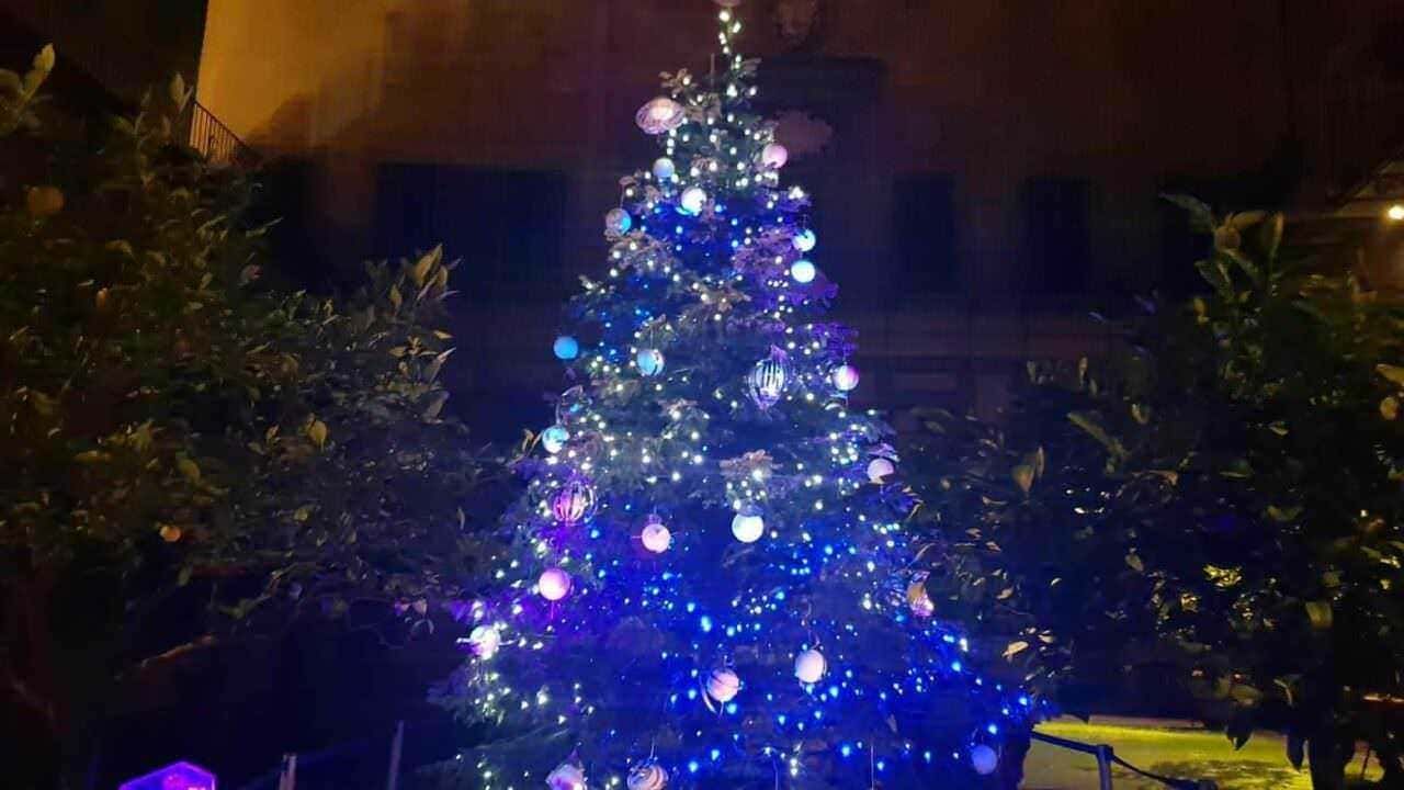 Addobbi Natalizi Albero Di Natale Addobbi natalizi albero di Natale, storia e miti