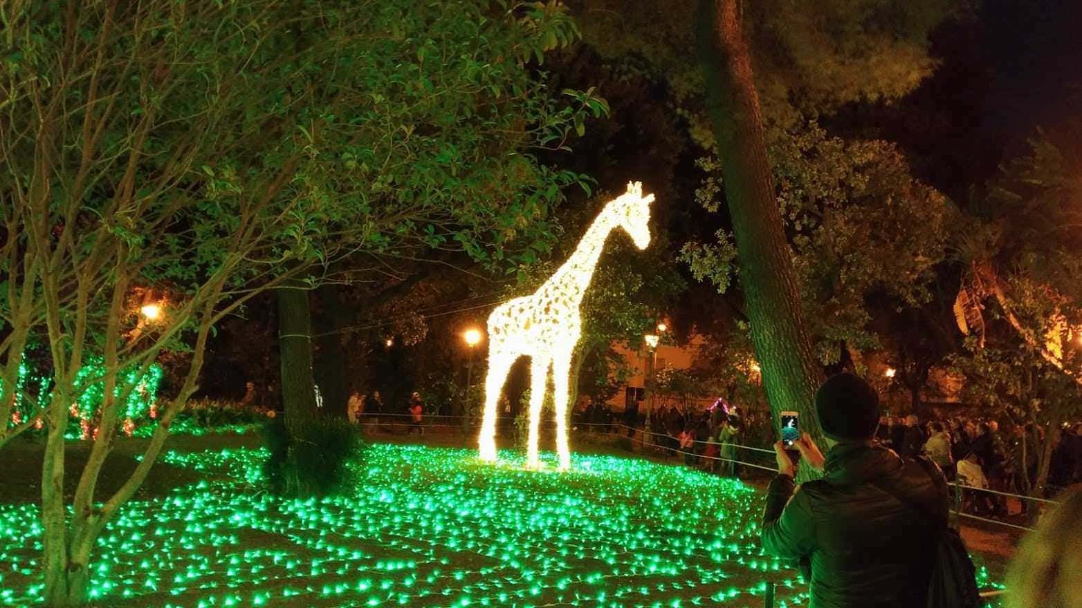 Colorato spettacolo di luci sul Monte Sacro con decorazioni natalizie e fuochi di artificio, evidenziando l'antico edificio in rovina e gli alberi circostanti durante la sera.