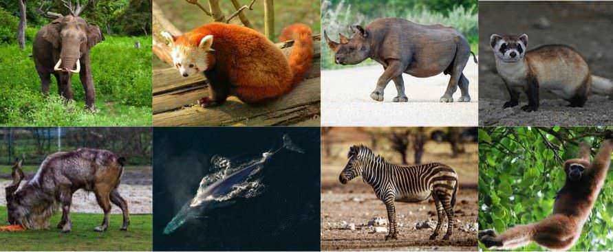 10 Segreti della Terra da conoscere