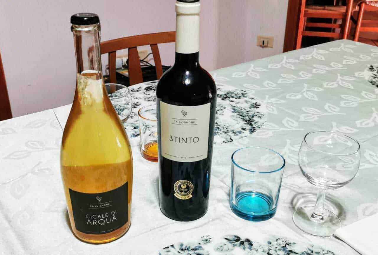 Vino rosso e bianco su tavolo apparecchiato, con bicchieri, piatti e tovaglia floreale, atmosfera conviviale e calda, perfetta per momenti di relax e convivialità.