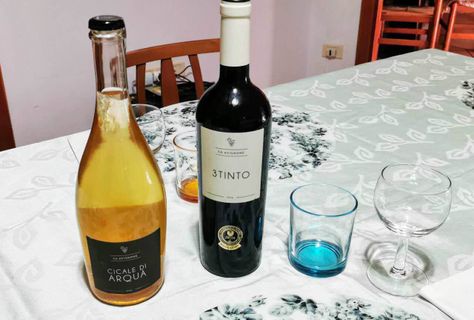 Ca Avignone, Vino rosso e bianco: 3TINTO e Cicale di Arquà