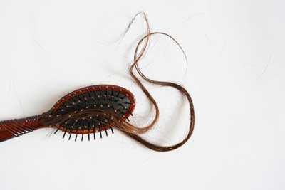 Integratore per capelli: Criceti con fili di pelo, animale domestico e accessori per animale domestico, immagine di un criceto con fili di pelo, animali domestici e cura degli animali domestici.