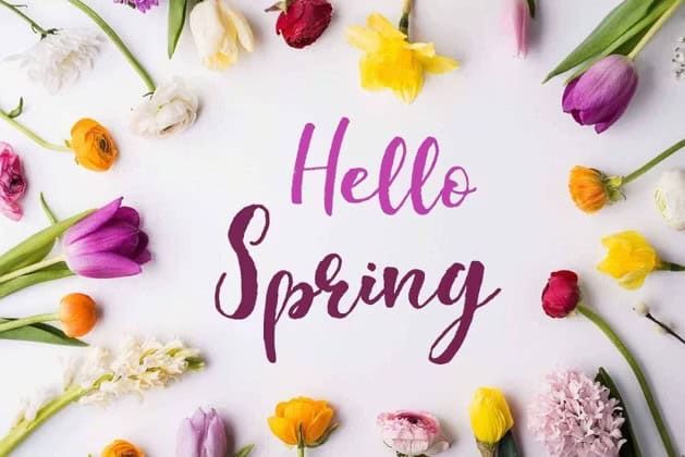 Le fioriture di primavera e i festival floreali da non perdere