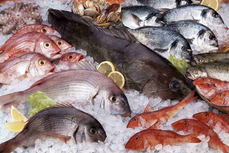 Dieta del pesce quanto si dimagrisce in 1 mese 2 Dieta del pesce quanto si dimagrisce in 1 mese