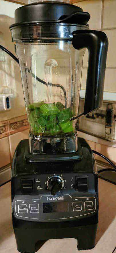 6 Ricette con aloe vera fai da te: gel, succo e usi cosmetici 5 Lattina del frullatore con foglie di basilico fresche, preparata per una gustosa ricetta di pesto o smoothies salutari.