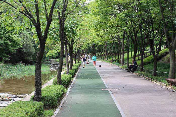 Un viale alberato nel parco con persone che camminano, joggiano e portano a spasso i cani, ideale per passeggiate e relax all'aperto, in un ambiente naturale e tranquillo.