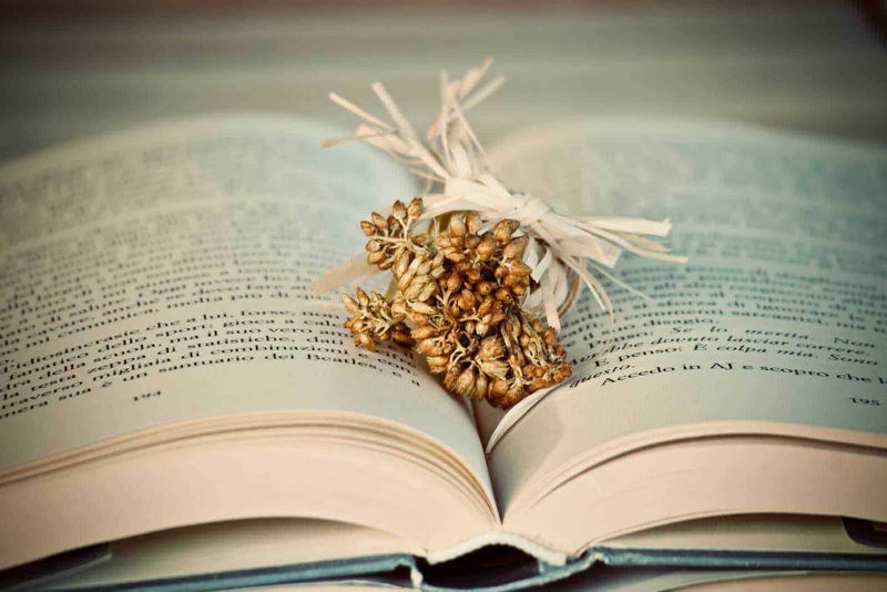 Come conservare i fiori recisi, 7 metodi facili 2 Filemprenotato-sul-blog-dettaglio-di-un-libro-aperto-con-una-raccolta-di-bulbi-e-foglie-di-paglia-colorata-davanti.