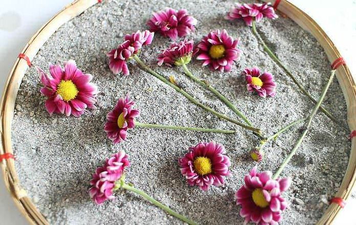 Come conservare i fiori recisi, 7 metodi facili
