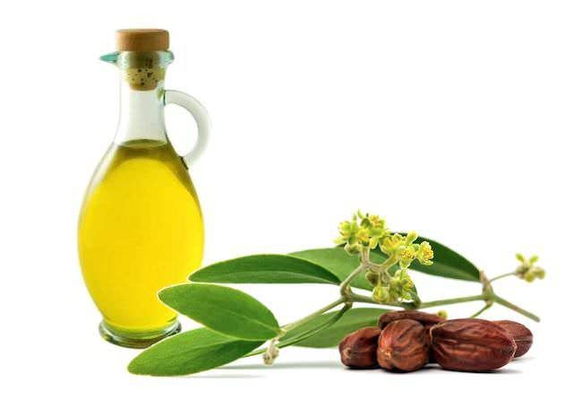 Effetti benefici olio di jojoba sulla pelle