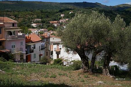 Costiera cilentana posti da visitare tra mare e terra