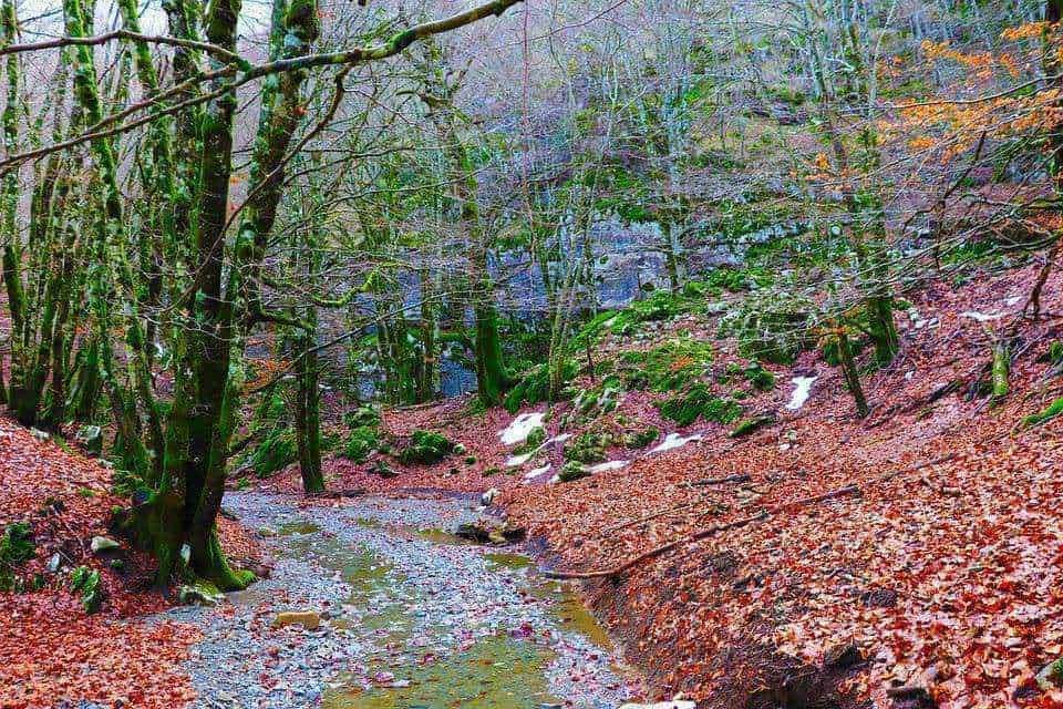 Filemame: foresta-autunnale-con-fiume-e-pioggia.jpg.