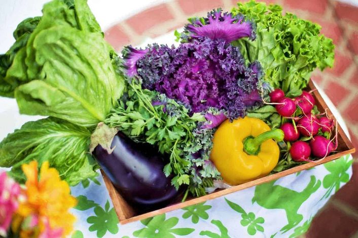 Verdure meglio cotte o crude. Quali più nutrienti? 3 Verdure fresche e colorate in cesto di legno, tra cui lattuga, cavolo riccio, ravanelli e peperoni gialli, ideale per ricette salutari e piatti vegetariani di qualità.