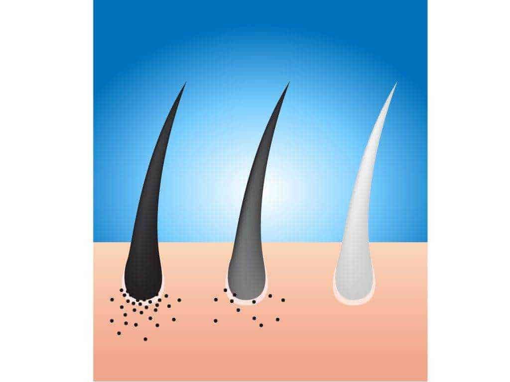 Perché i capelli diventano bianchi da giovani? 7 motivi