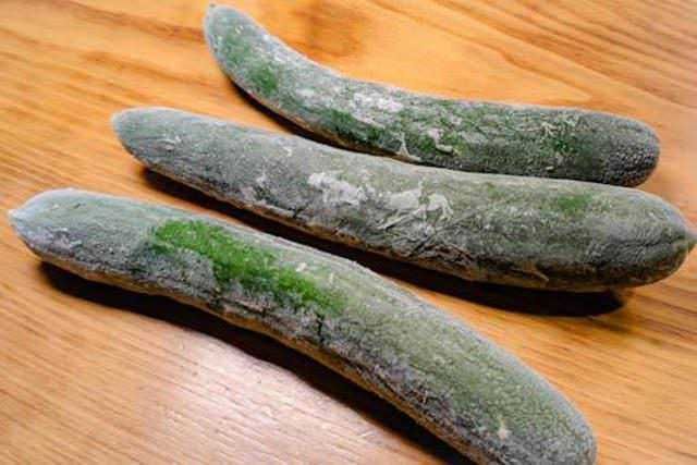4 metodi per congelare il cetriolo in freezer 12 4 metodi per congelare il cetriolo in freezer