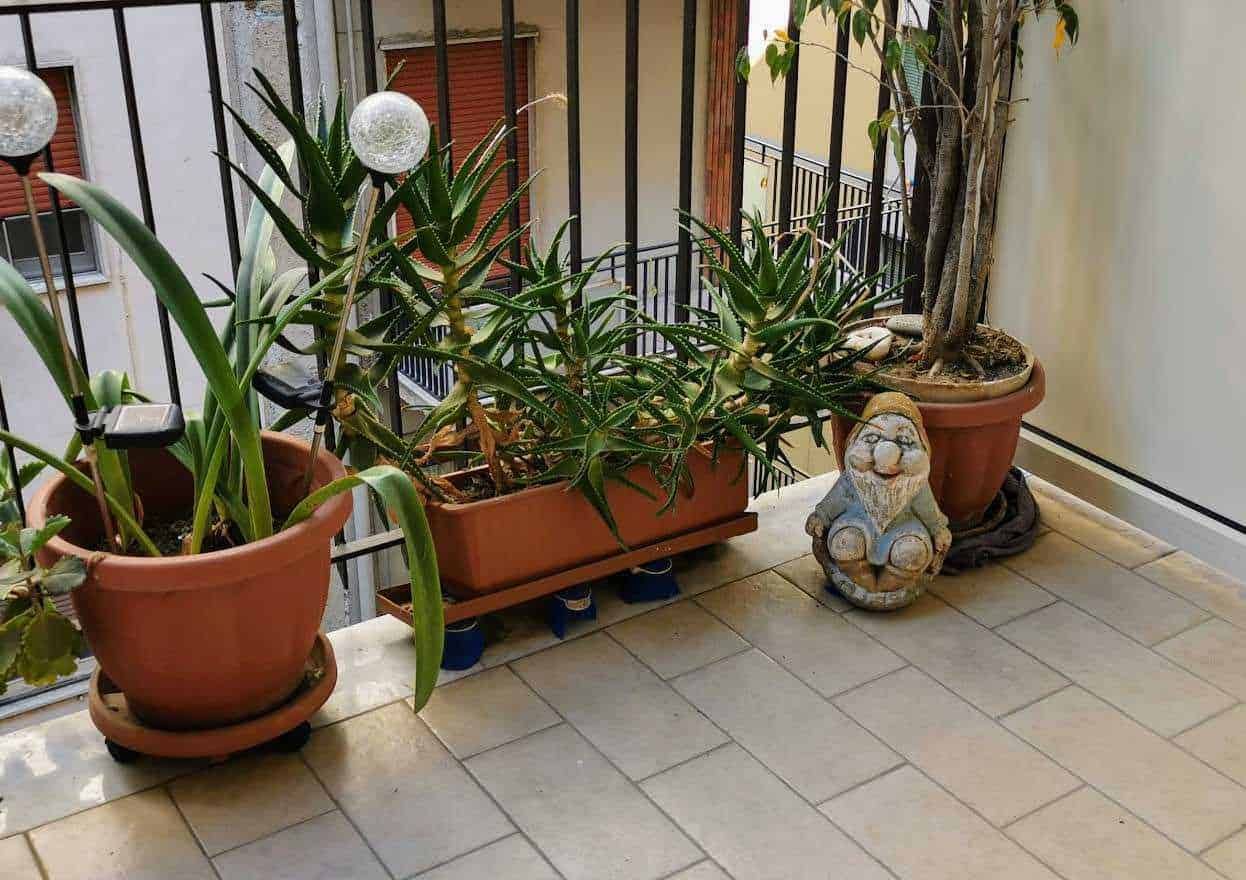 Origine Nani da giardino dall'antica Roma a oggi!
