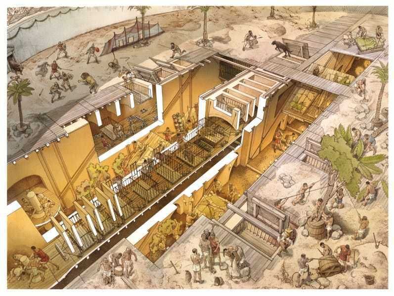 La storia e le curiosità del Colosseo di Roma 5 Sotterranei del Colosseo di Roma