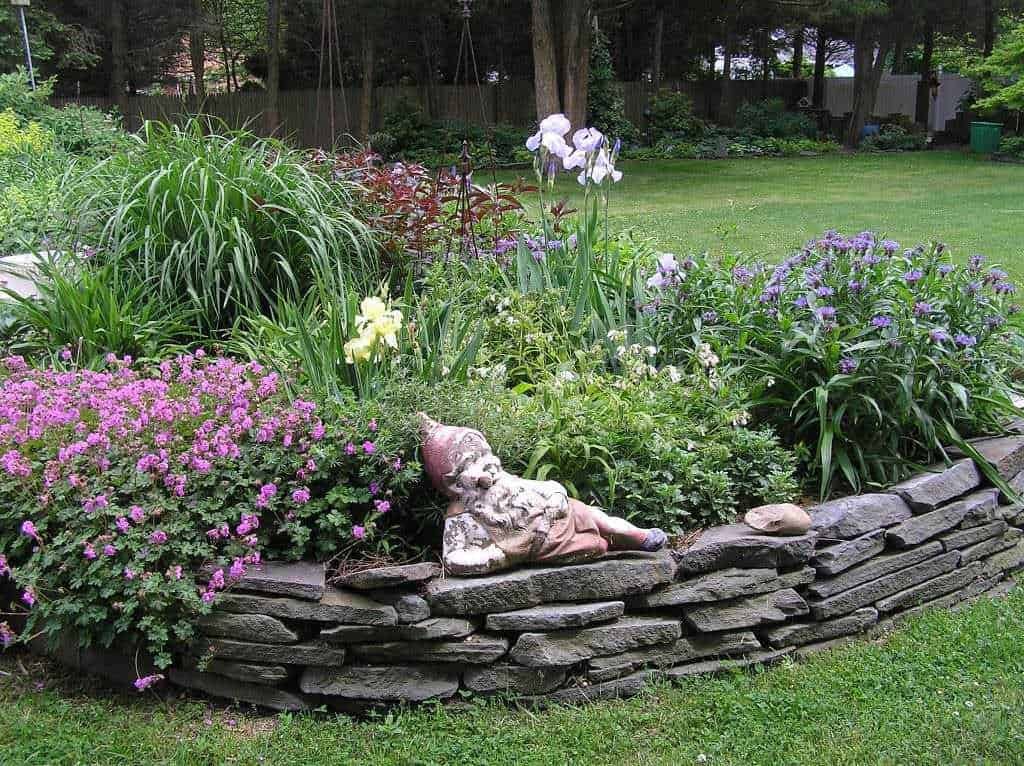 Nelgi matti con piante di iris, lavanda, e margherite rosa, decorano un giardino con statue di nani, recinzione in legno e alberi sullo sfondo, creando un angolo di relax e natura.