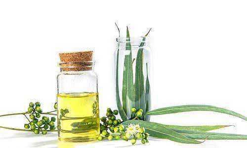 Just Olio essenziale Eucalipto per respirare meglio