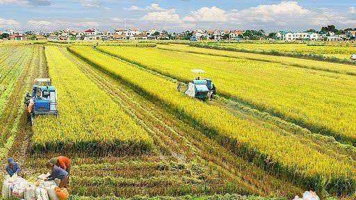 Paesaggio rurale caratteristiche e stile di vita