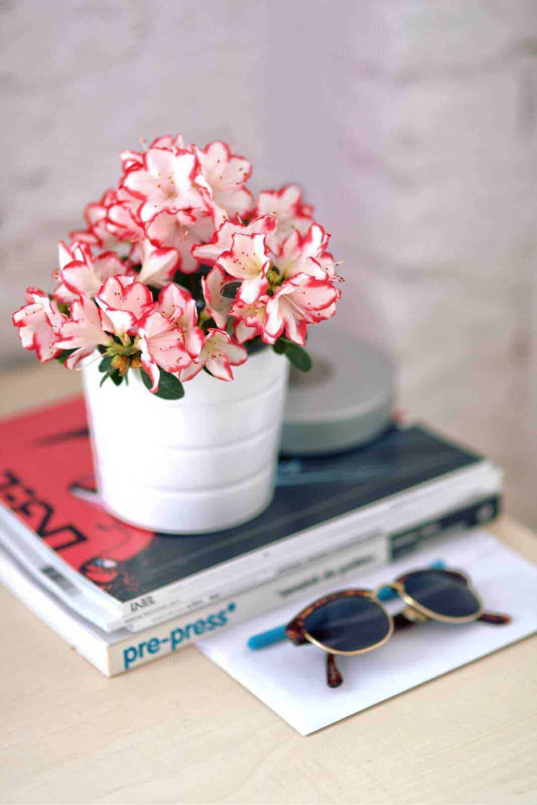 Fiore di azalee rosa in vaso bianco su tavolo con riviste e occhiali da sole, decorazione elegante e raffinata per ambienti interni, stile minimalista e chic.