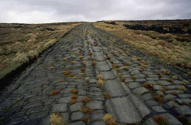 Antico viale asphaltato di pietra e erba in paesaggio naturale.