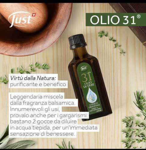 Foglioline verdi e bacche su pianta ornamentale, natura e giardinaggio.