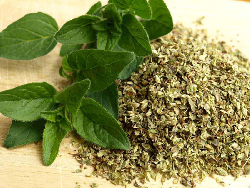 Maggiorana proprietà benefiche e come utilizzarla 3 Foglie di menta fresca accanto a foglie di menta essiccate, utilizzate in cucina e in tisane. La menta è nota per le sue proprietà digestive e rinfrescanti, perfetta per aromatizzare piatti e bevande.