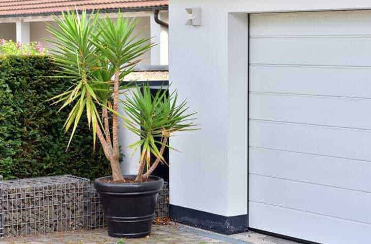 Yucca in vaso decorativo davanti a garage moderno, elemento di arredo per giardino.