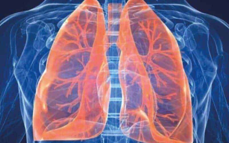 Come pulire i polmoni in 72 ore: alimentazione e salute respiratoria