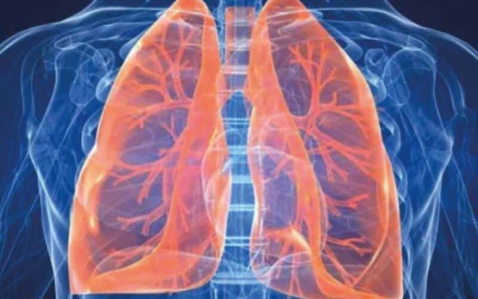 Come pulire i polmoni in 72 ore con la dieta