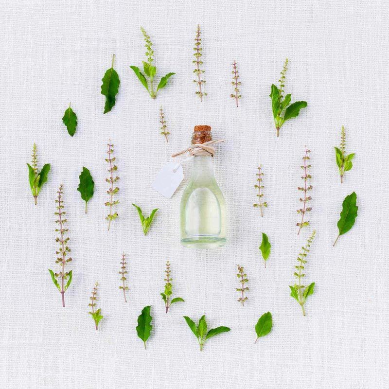 Erbe ayurvediche per crescita capelli, 5 tipi 2 Erbe ayurvediche per la crescita dei capelli: Erbe ayurvediche per crescita capelli, 5 tipi
