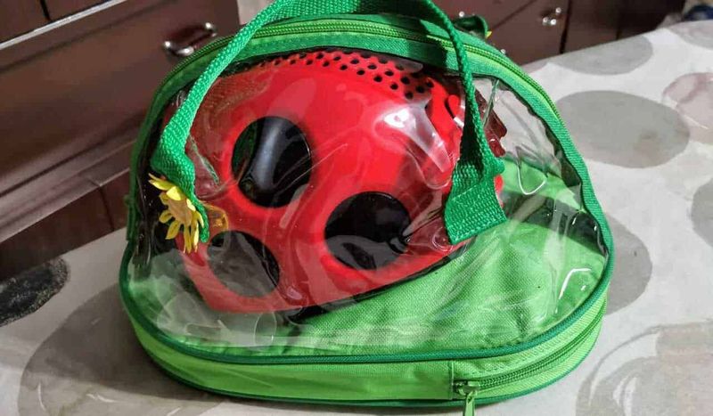 Flaem Nuova aerosol e Lella la Coccinella 6 Fauna giocattolo ladybug in valigia trasparente, oggetto di gioco per bambini, con spazio per riporre altri giochi o accessori, ideale come regalo per bambini e per giochi all'aperto.