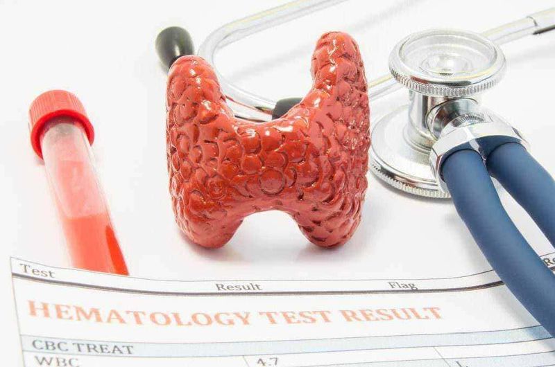 Eutirox a stomaco pieno o vuoto? Effetti e danni (2026) 104 Elite_pancreas_thyroid_thyroid_exam_blue_tubes_heathcare_medicine.