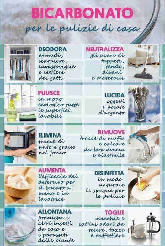 Sale di lime e sale grosso in barattolo con scoiattolo di legno, salsa di limone fresca e sale marino naturale, ideale per cucinare sano e gustoso, fotografia di ingredienti per cucina salutare, Appunti Sul Blog.