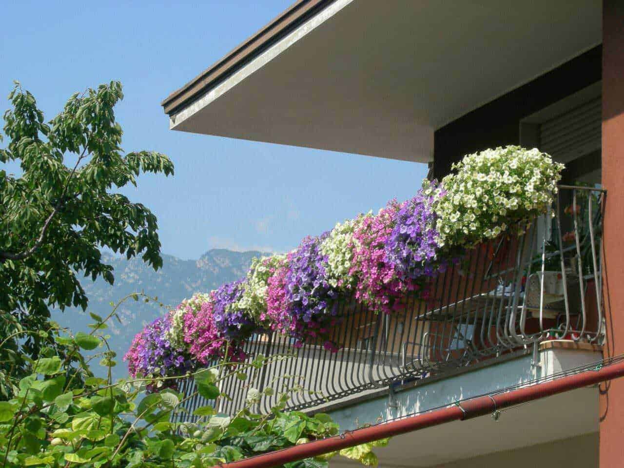Giglio giallo con fiori arancioni, immagine di fiori primaverili, perfetta per blog di giardinaggio e natura.