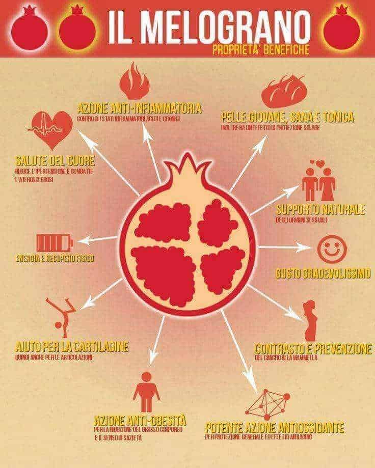 Pomo di melograno con benefici sulla salute e proprietà benefiche del melograno, evidenziando le sue proprietà antinfiammatorie, antiossidanti, e gli effetti positivi su pelle, cuore, energia e prevenzione.